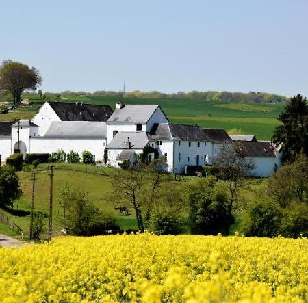 La Ferme De Basseilles Konuk evi Mozet Dış mekan fotoğraf