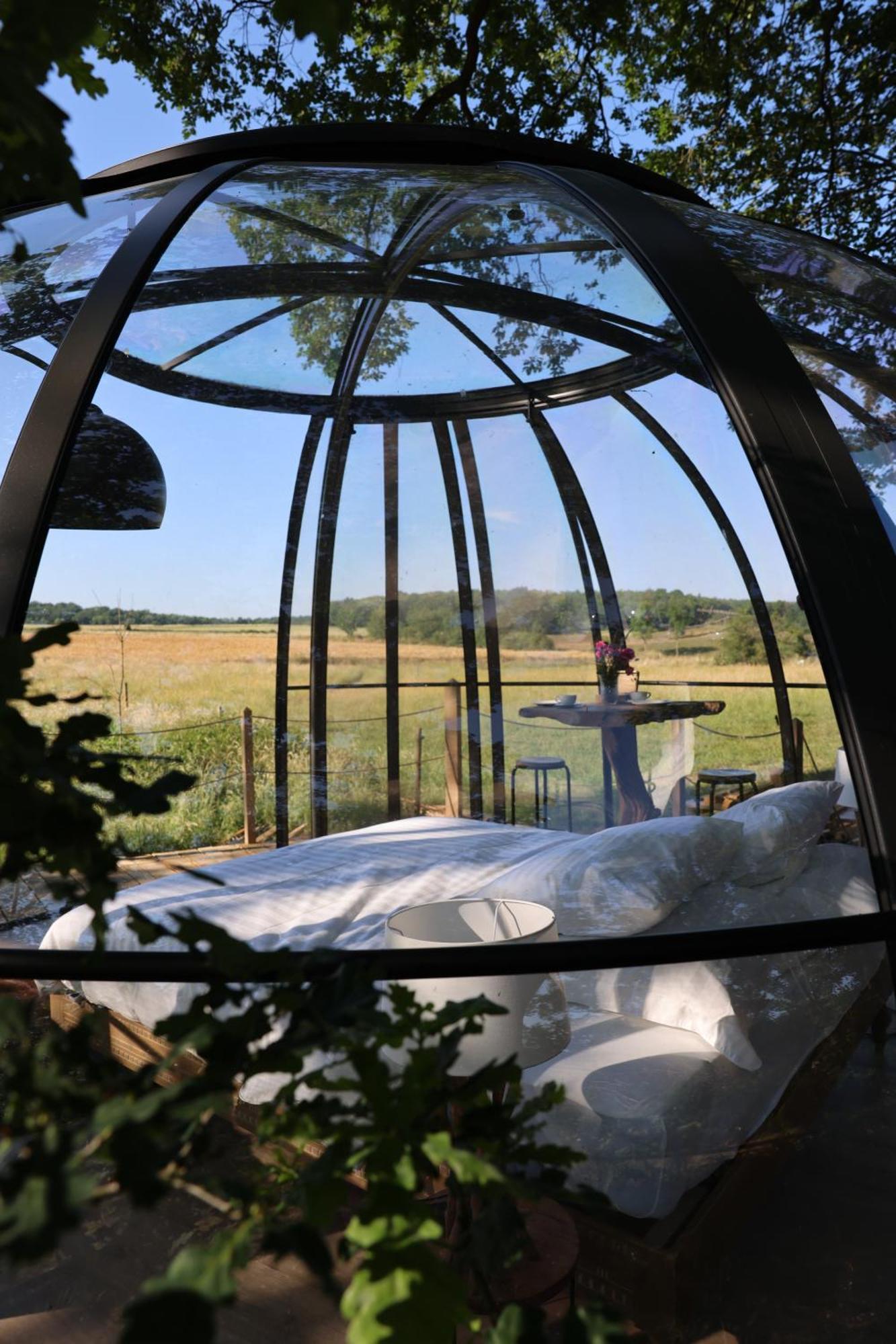 La Ferme De Basseilles Konuk evi Mozet Dış mekan fotoğraf
